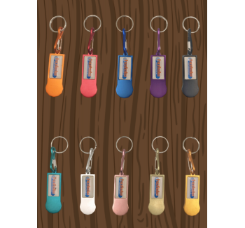 Aluminum Tag (hand cart lock)+Doming logo offset printing+12 sides of a coin