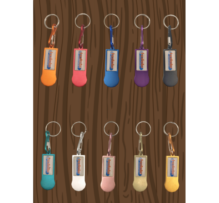 Aluminum Tag (hand cart lock)+Doming logo offset printing+12 sides of a coin